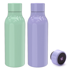 Temperature Display Stainless Steel Insulated Thermos Bottle