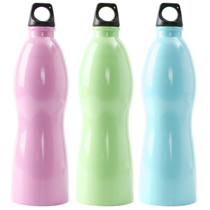 Bulk Cheap Metal Aluminium Sports Water Bottle With Carabiner 