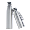 3 Sizes Reusable Stainless Steel Water Bottles with Carry Strap