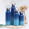 Stainless Steel Vacuum Insulated Water Bottle with Carry Loop