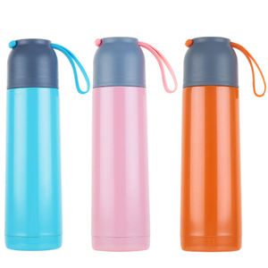 Stainless Steel Colour Vacuum Flask Keep Hot Warm Cold Cool