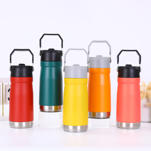 Insulated Stainless Steel Water Bottle with Carry Handle